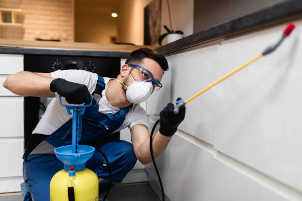 Best Pest Prevention Services  in Hebron, IL