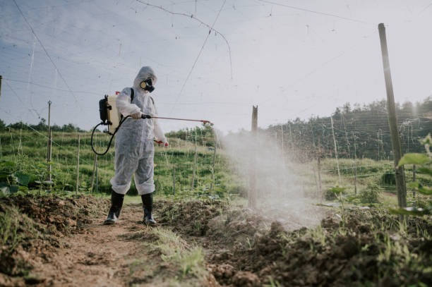Best Pest Removal Services  in Hebron, IL