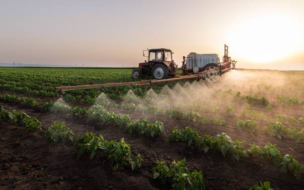 Insect Control in Hebron, IL