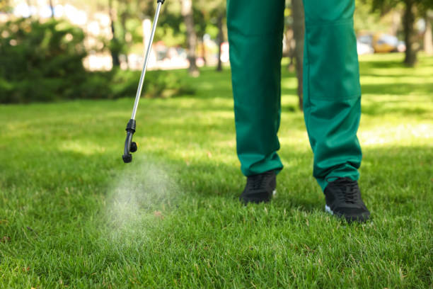 Best Emergency Pest Control  in Hebron, IL