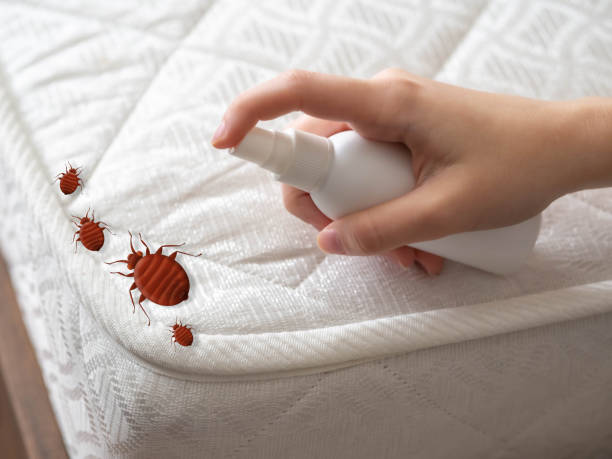 Best Cockroach Control Services  in Hebron, IL