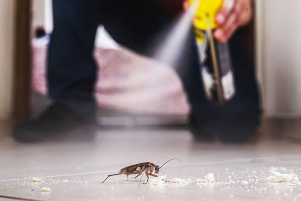 Best Mosquito Control Services  in Hebron, IL