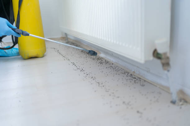 Best Pest Inspection Near Me  in Hebron, IL