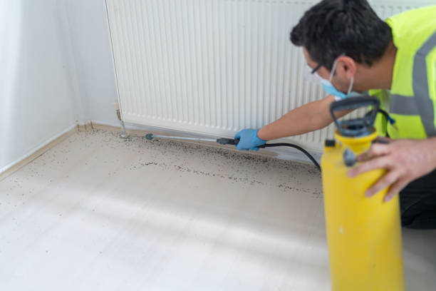 Best Residential Pest Control  in Hebron, IL