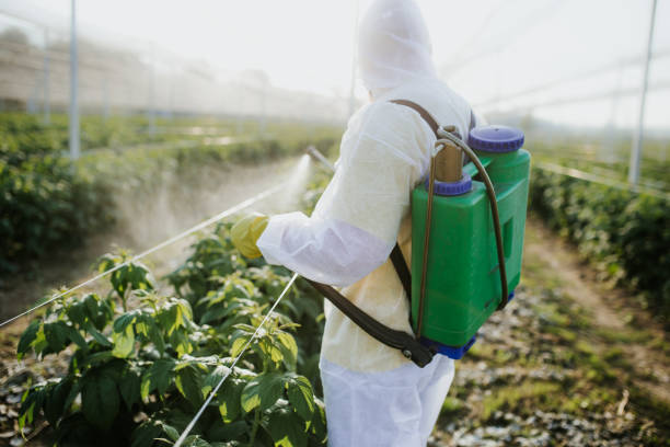 Best Affordable Pest Control Services  in Hebron, IL